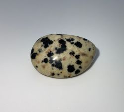 DALMATIAN JASPER gemstone